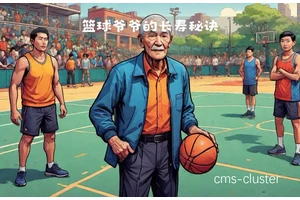  如何通过总结保持老年篮球爱好者的竞技状态？